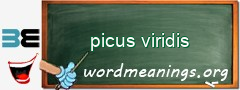 WordMeaning blackboard for picus viridis